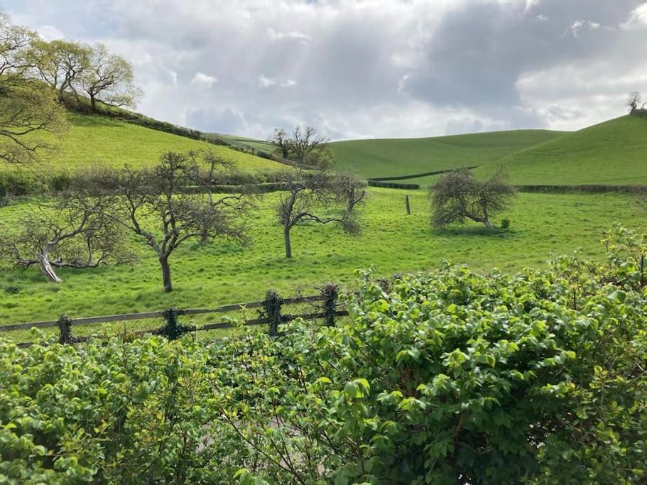 Charming Countryside Cottage Ground Floor Apartment In Combeinteignhead Devon Bishopsteignton Exteriör bild